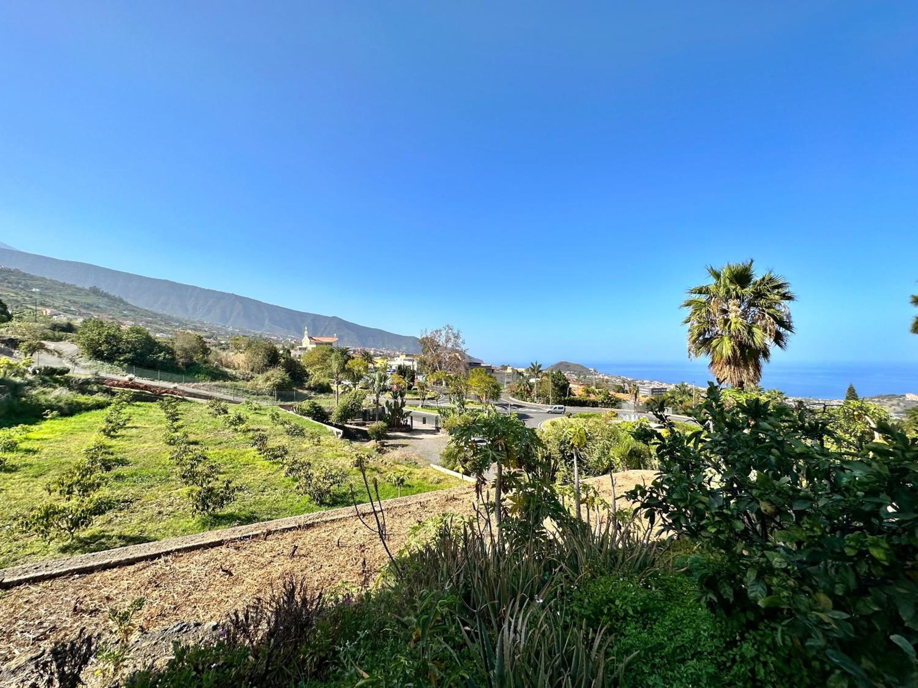 Finca Oscar Burchard