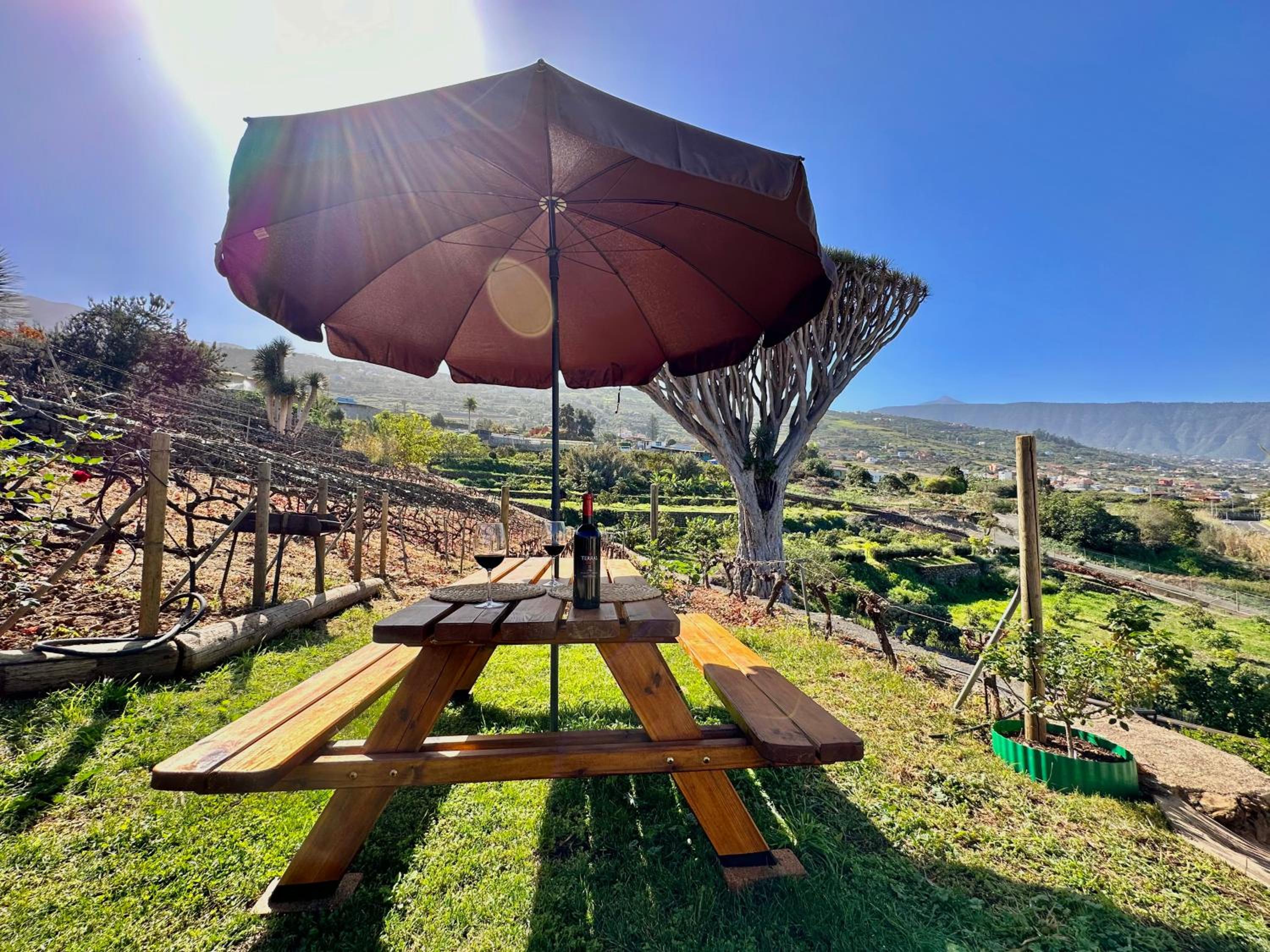Finca Oscar Burchard