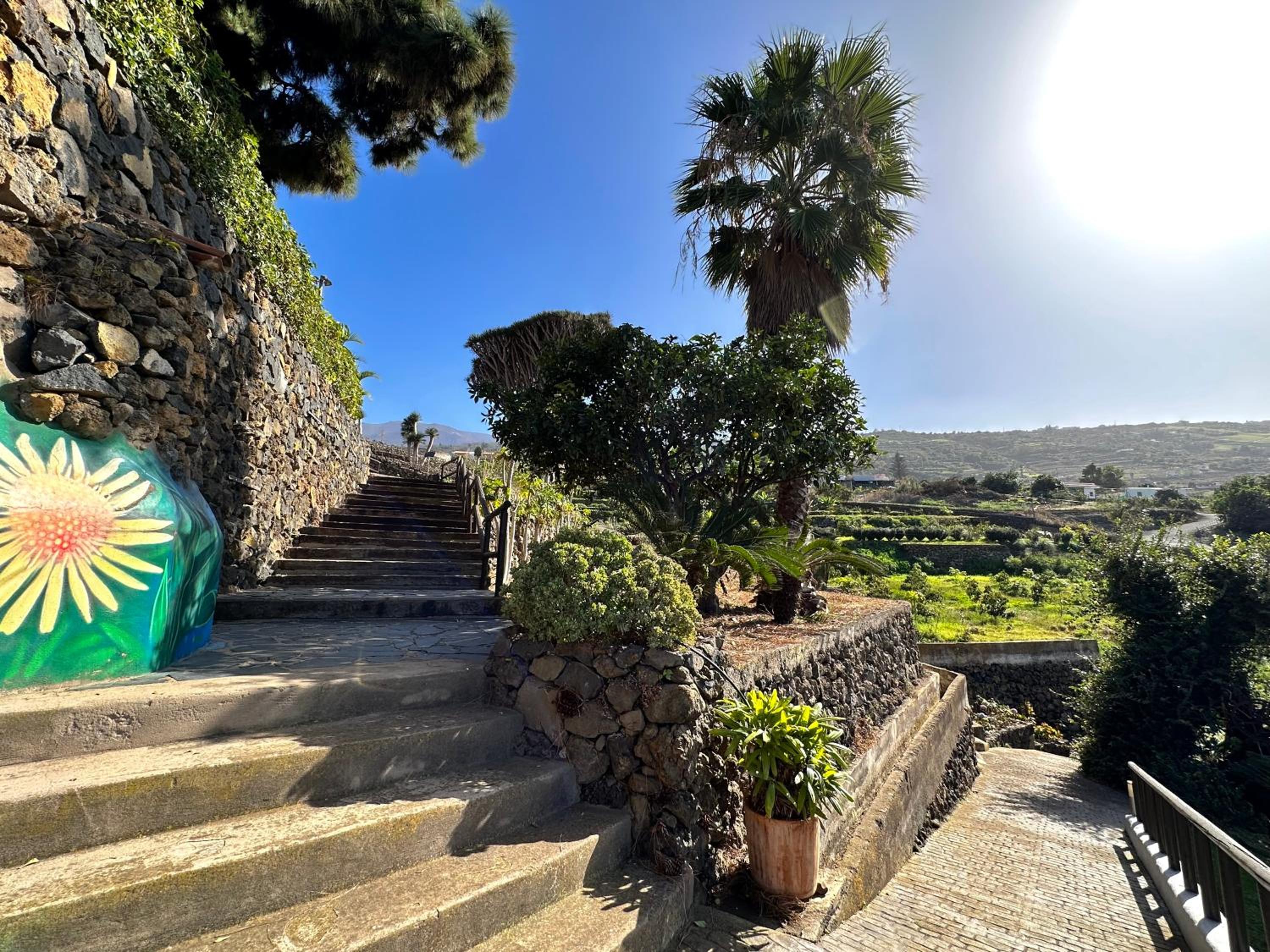 Finca Oscar Burchard