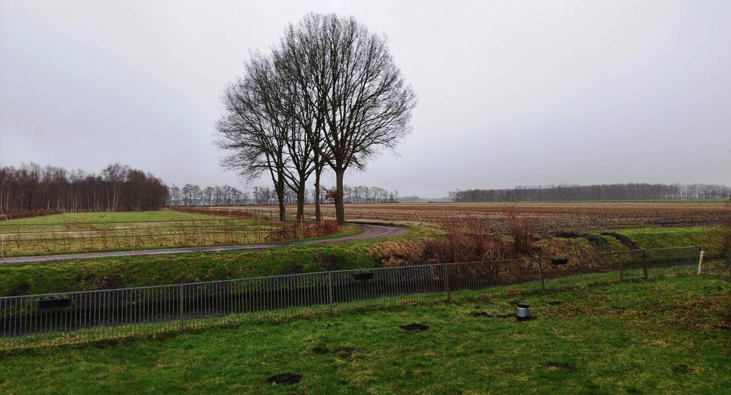 De Dagloner view 2