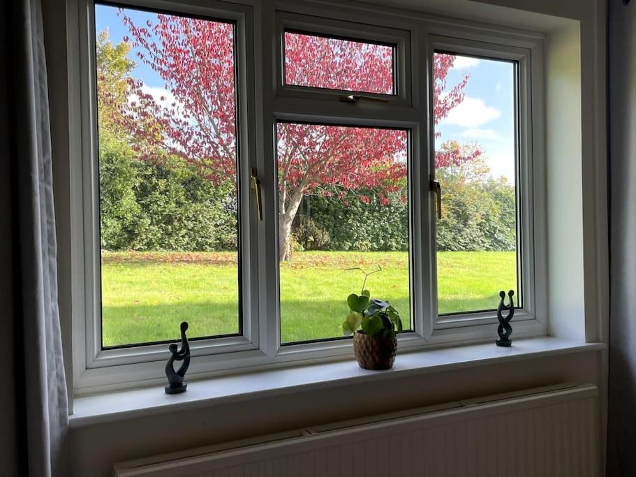 Karinya suite