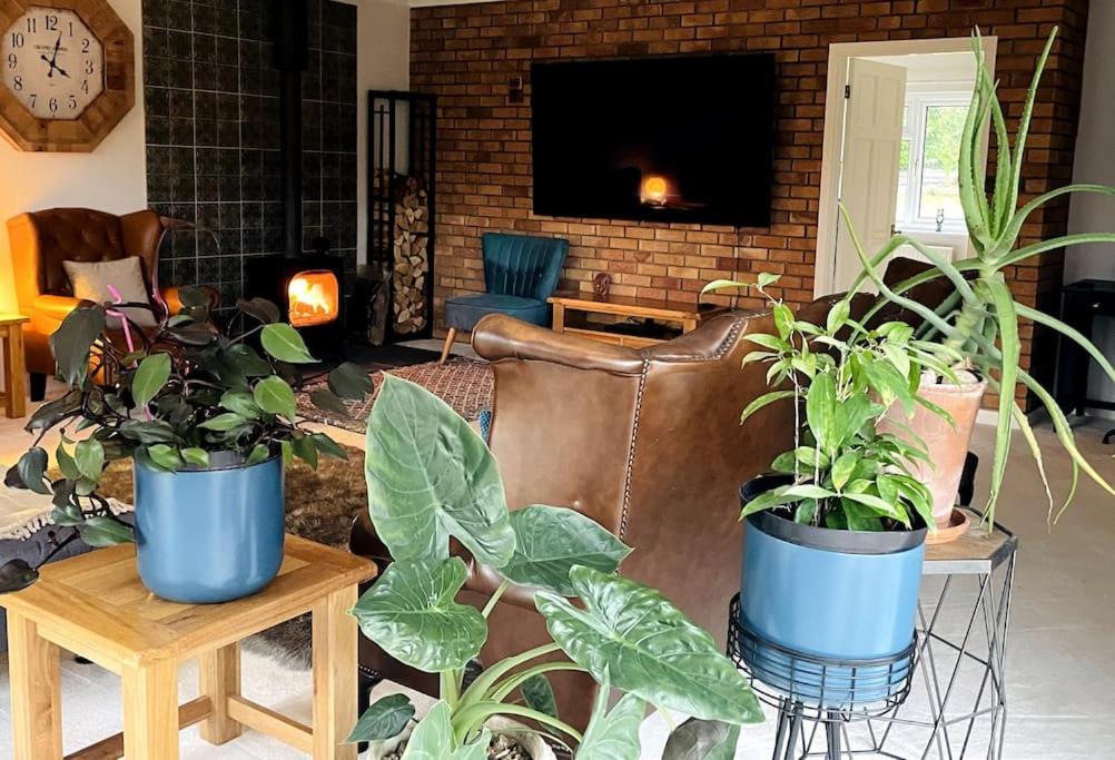 Karinya suite