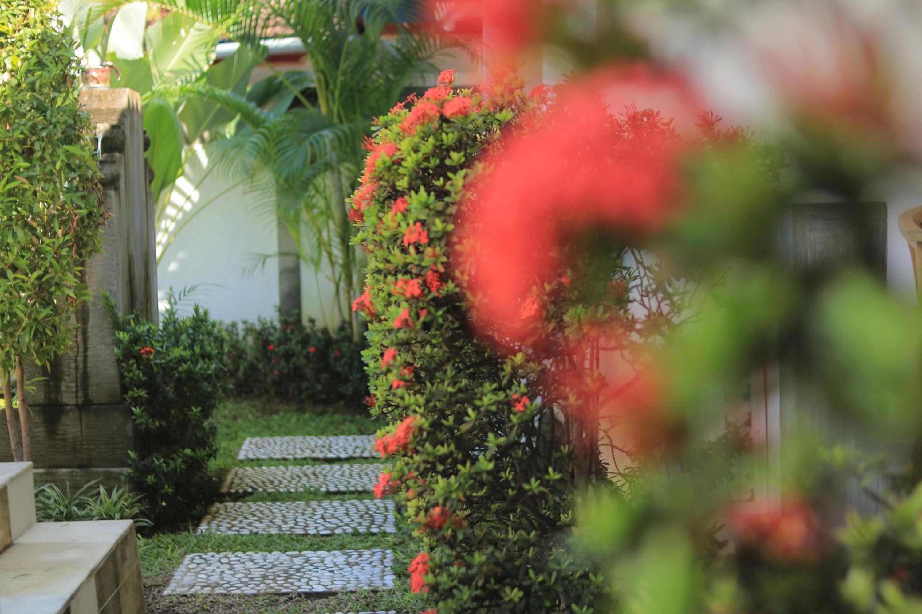 Villa Seruni Lovina