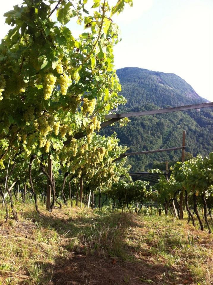 Agriturismo Le Cavade