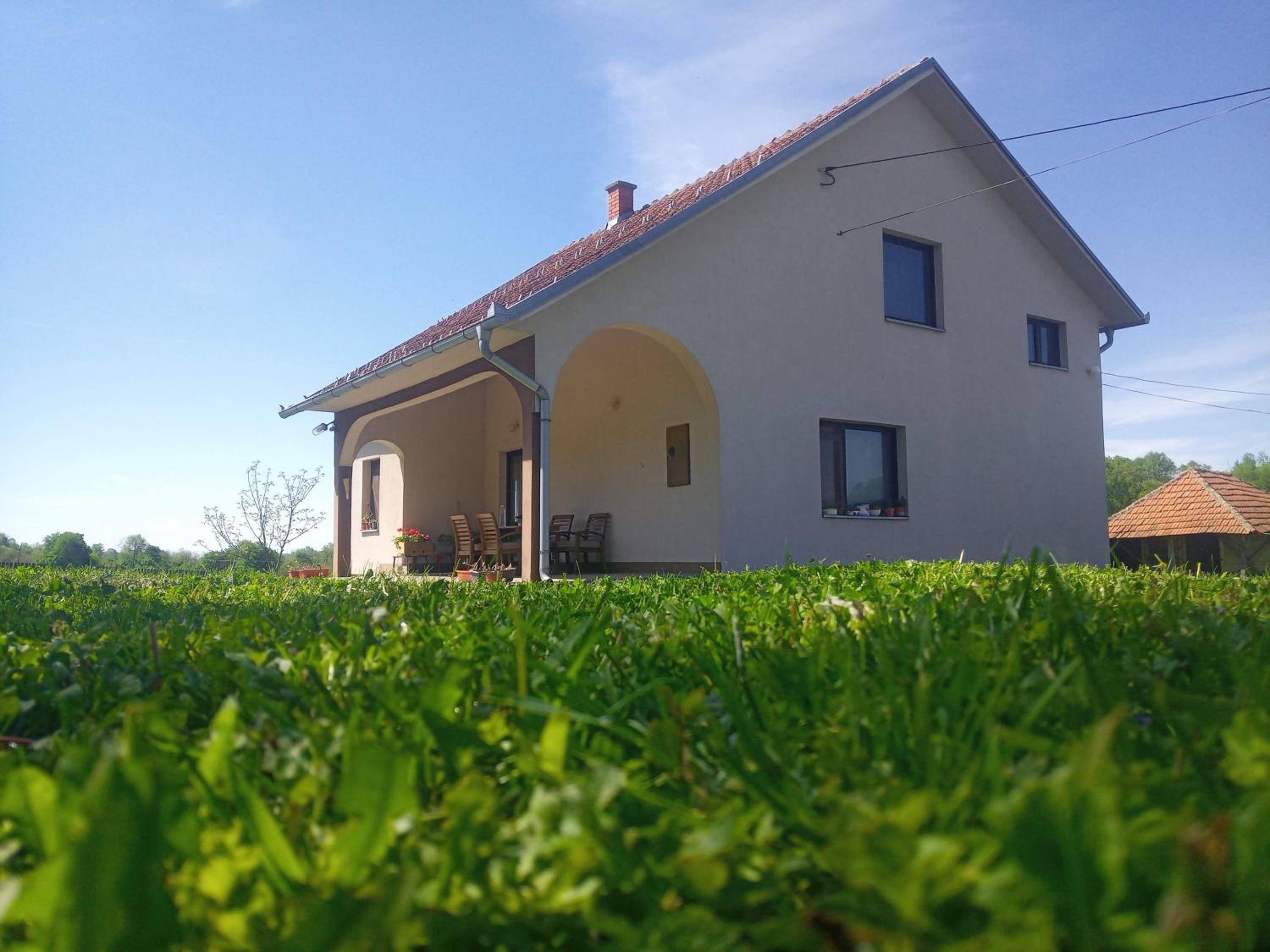Photo 31