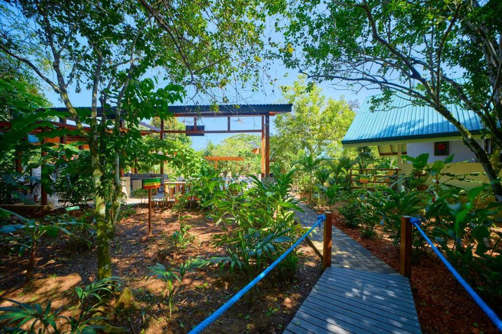 Casa Iris- Home for Family, Steps From the Beach, Pool and Yoga Deck