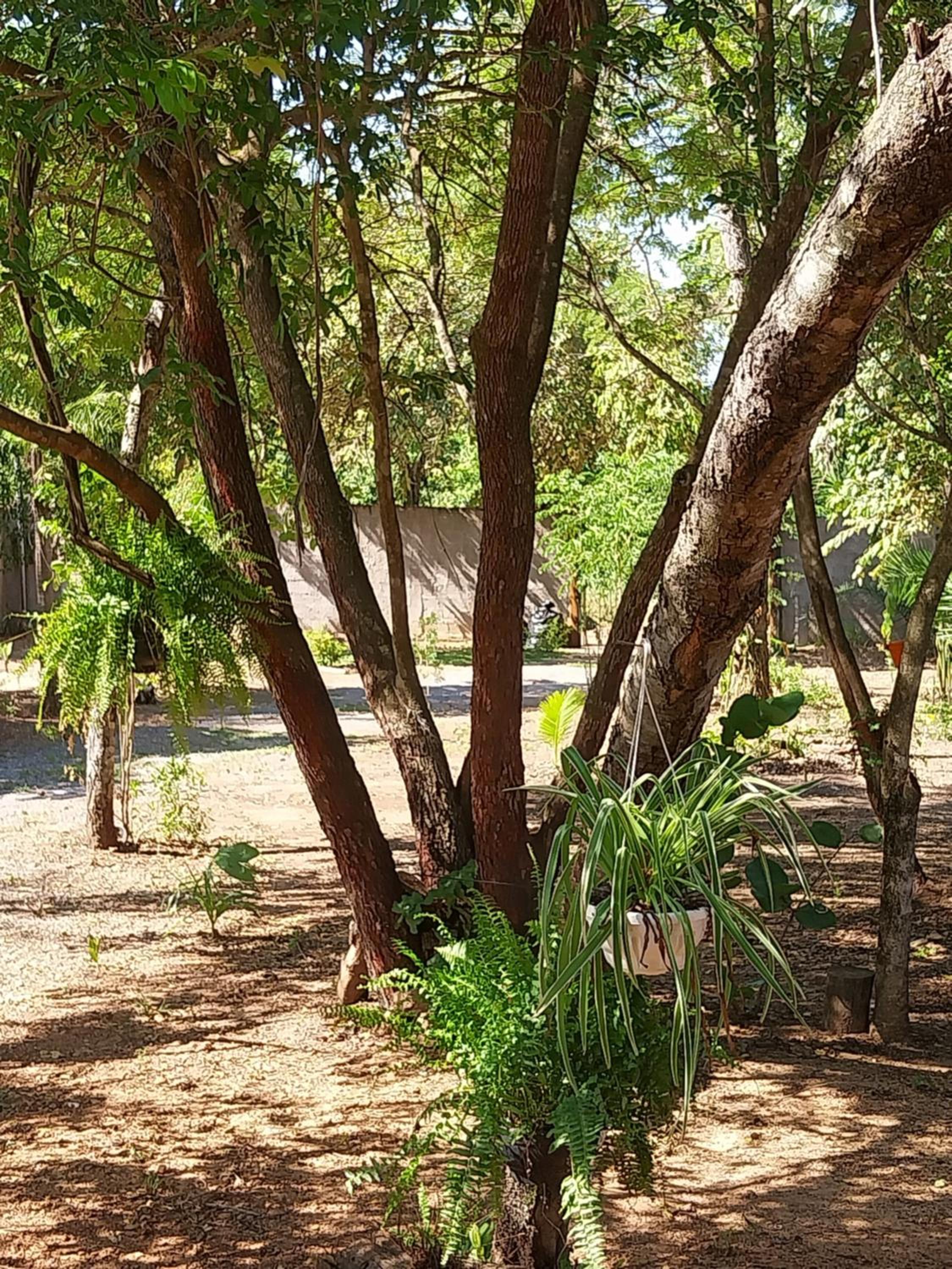 RANCHO CONTÊINER