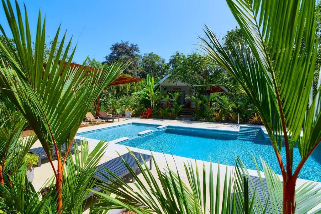 Casa Iris- Home for Family, Steps From the Beach, Pool and Yoga Deck