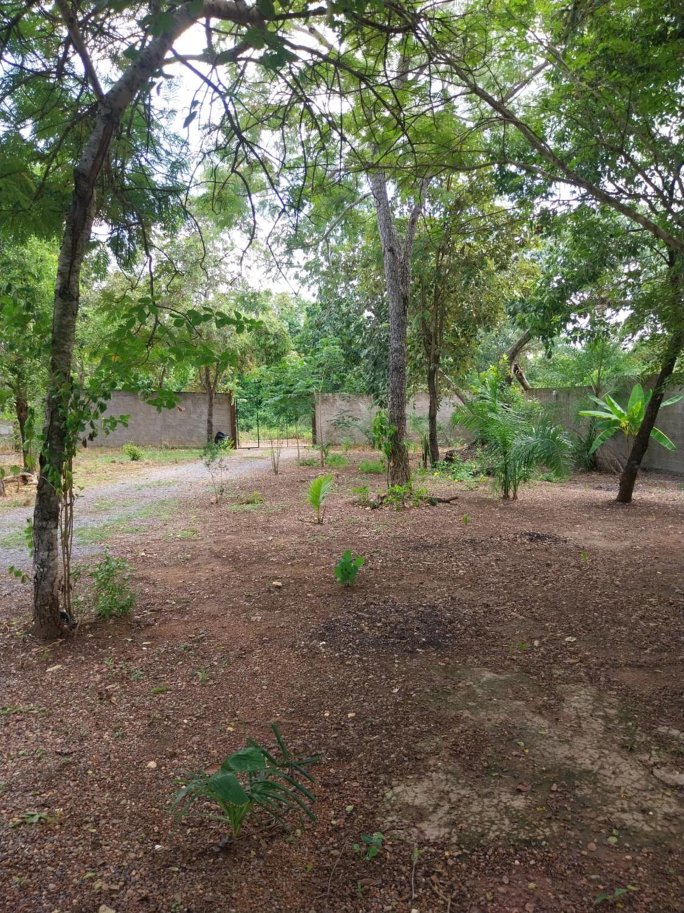 RANCHO CONTÊINER