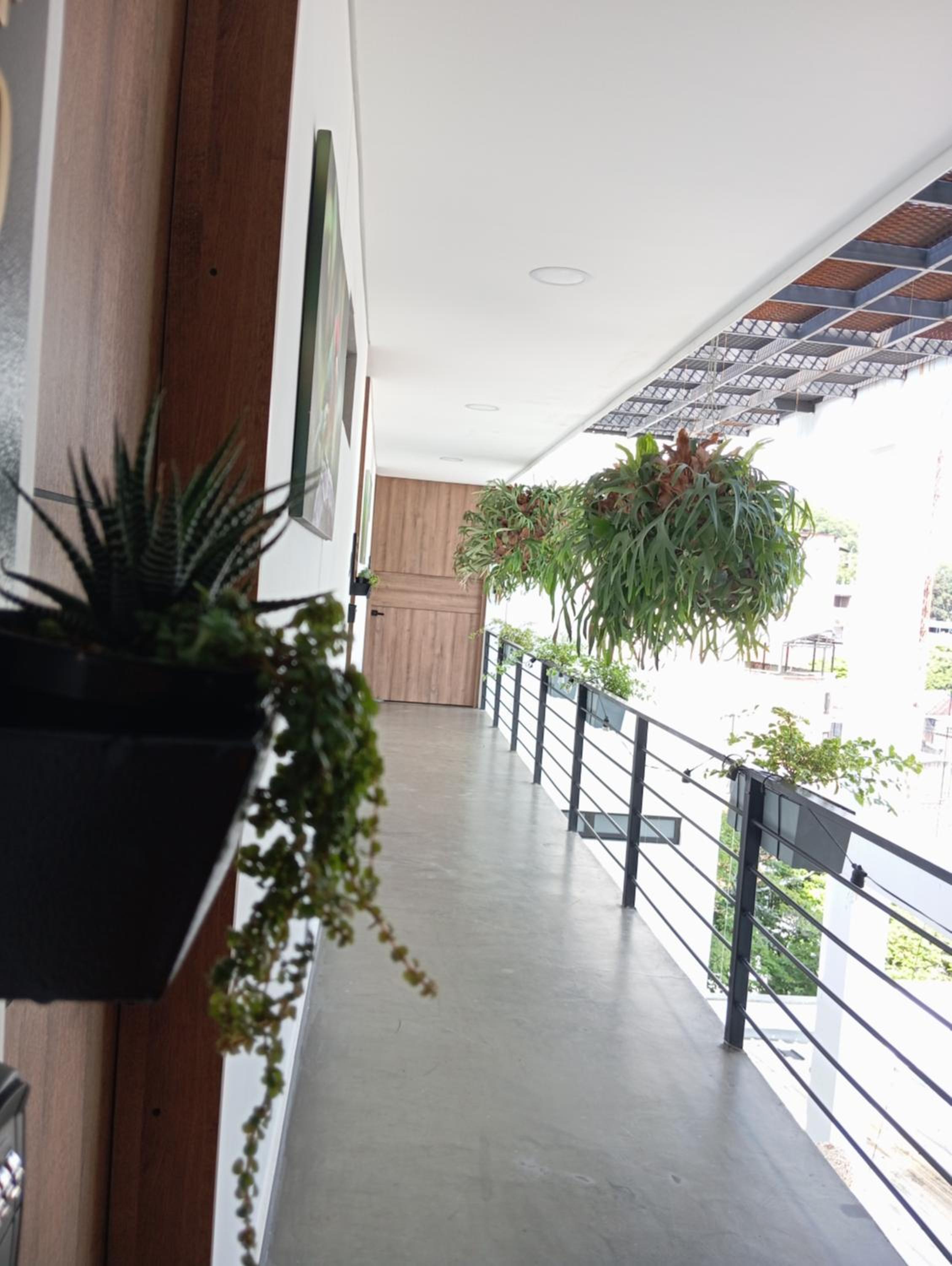 El Bosque Living
