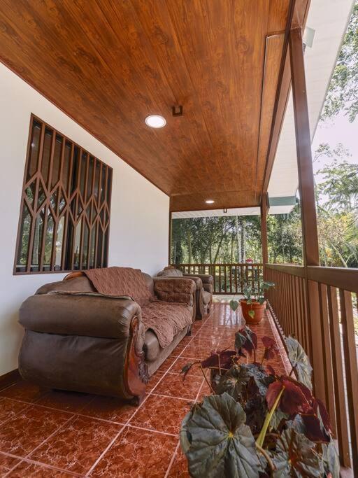 Casa Iris- Home for Family, Steps From the Beach, Pool and Yoga Deck