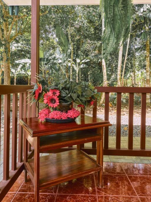 Casa Iris- Home for Family, Steps From the Beach, Pool and Yoga Deck