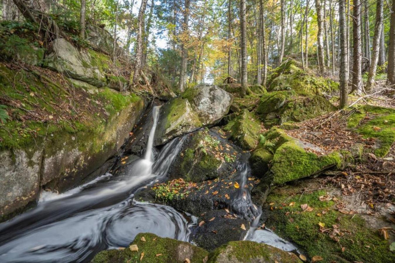 Le Repere Etoile au coeur de la nature