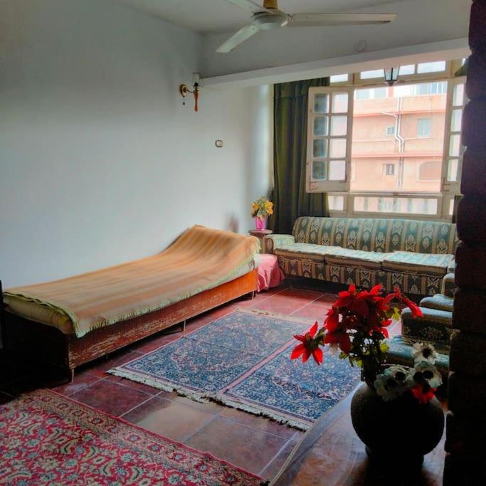 Apartment first row, Corniche Road. only families. view 3