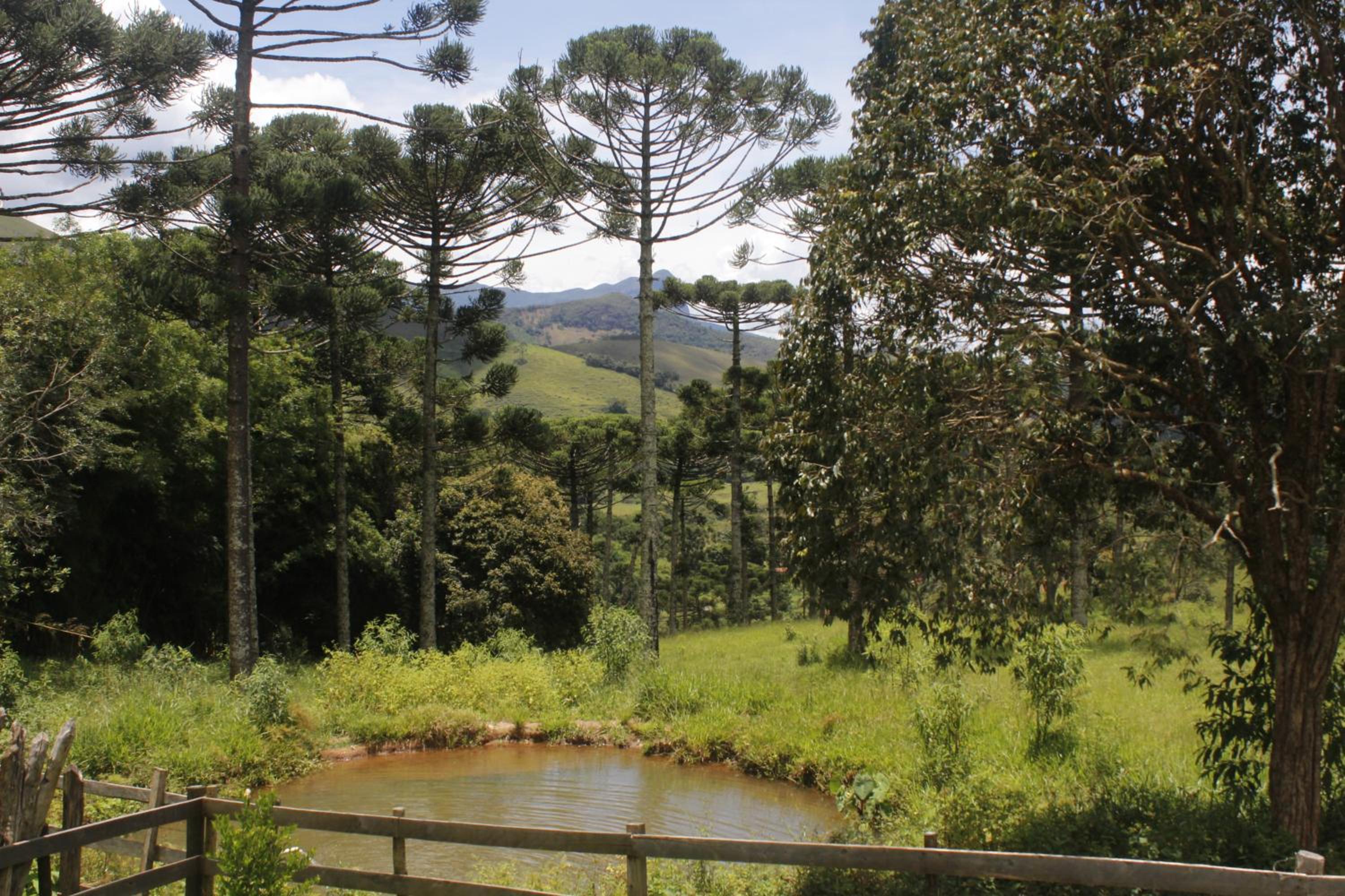 Chalé Sementes de Fé terras altas Nogueira