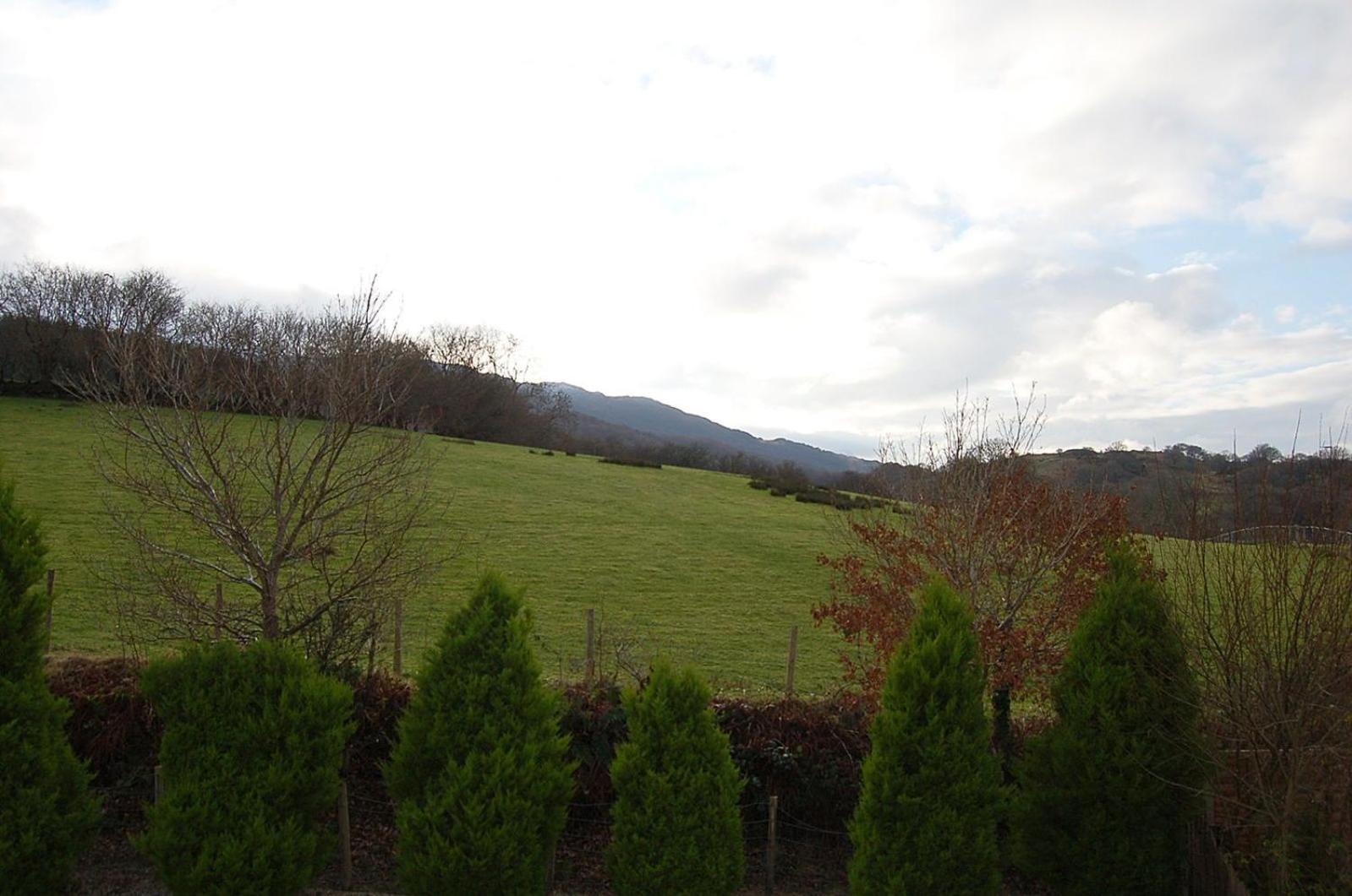 Photo 45