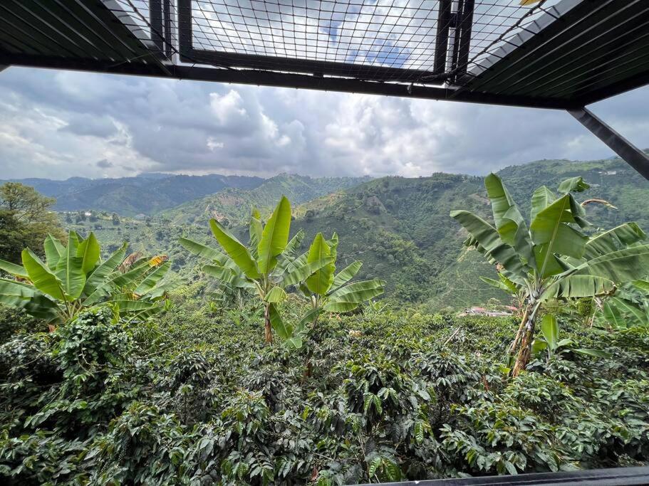 El refugio del Guayacán
