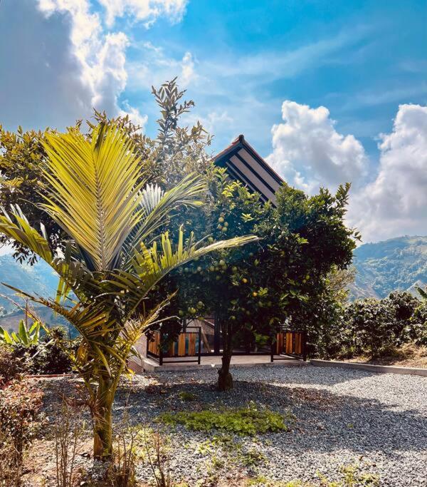 El refugio del Guayacán
