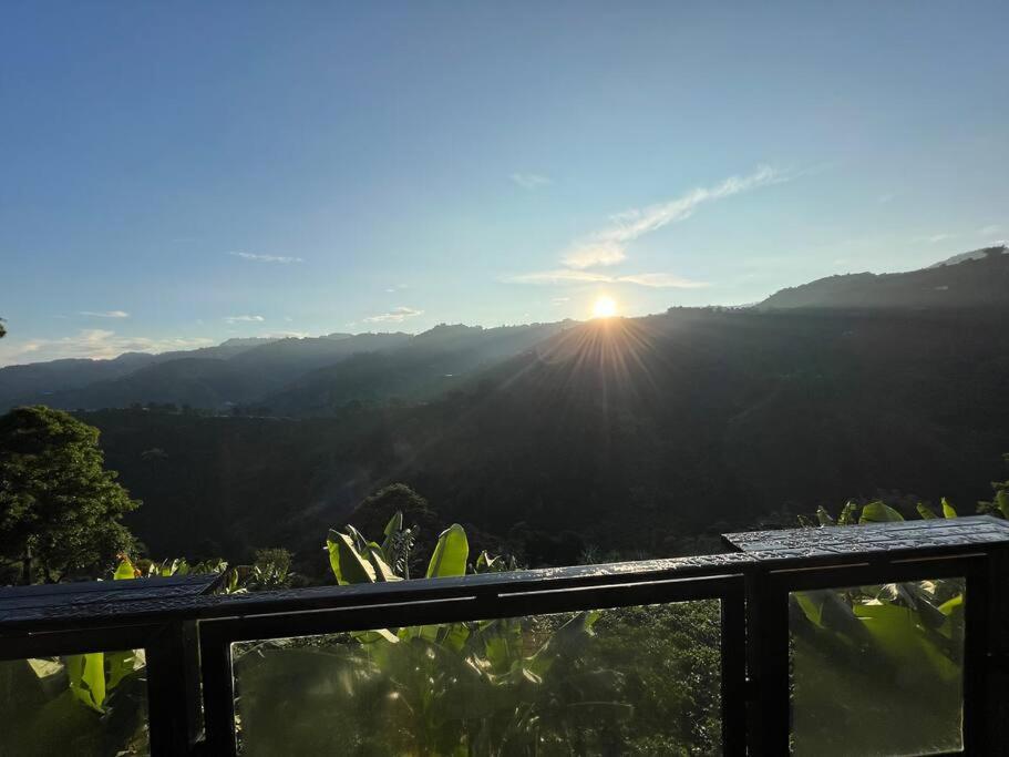 El refugio del Guayacán