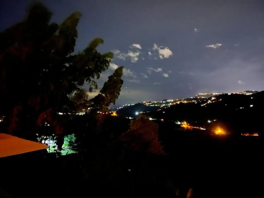 El refugio del Guayacán