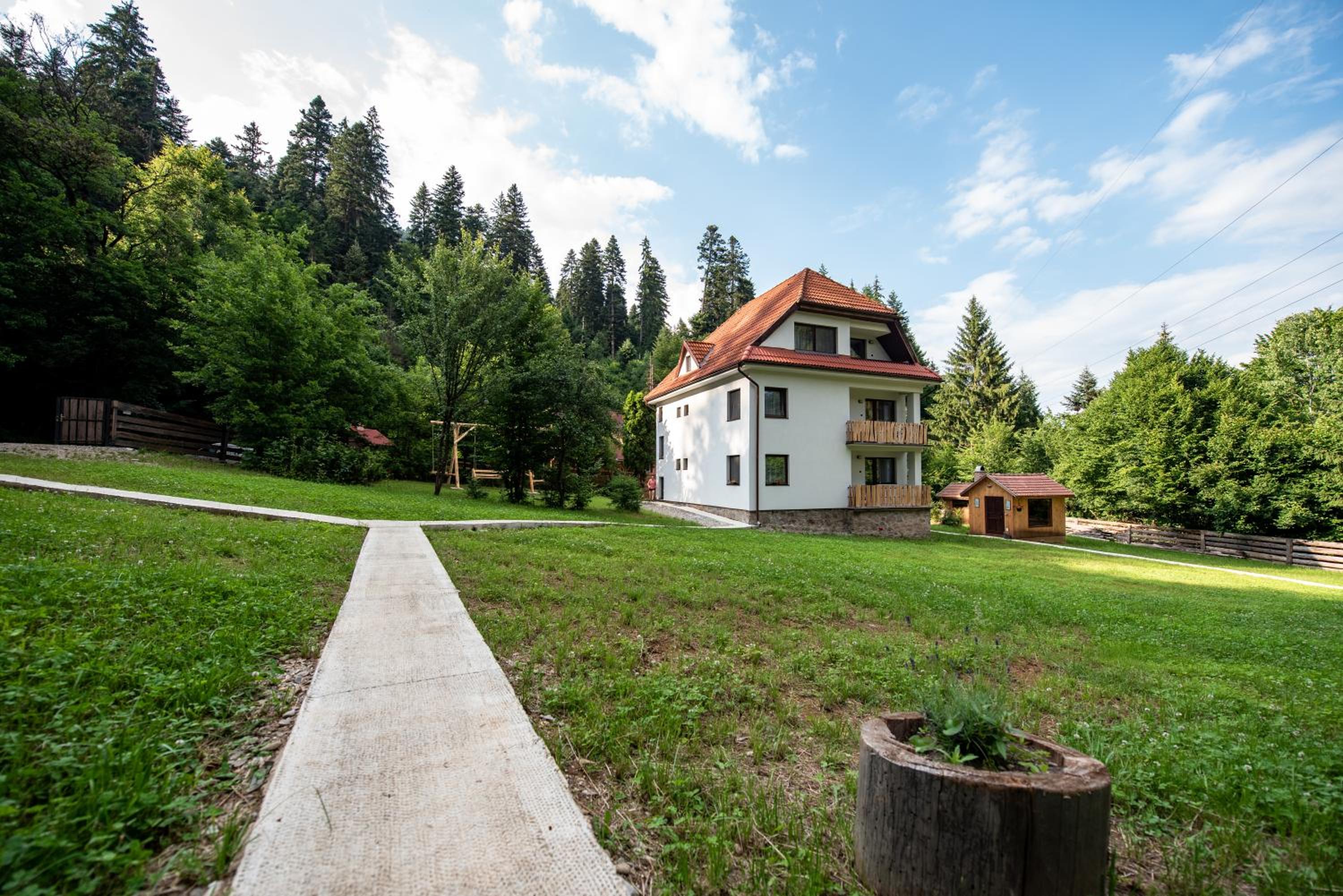 Forest Resort view 5