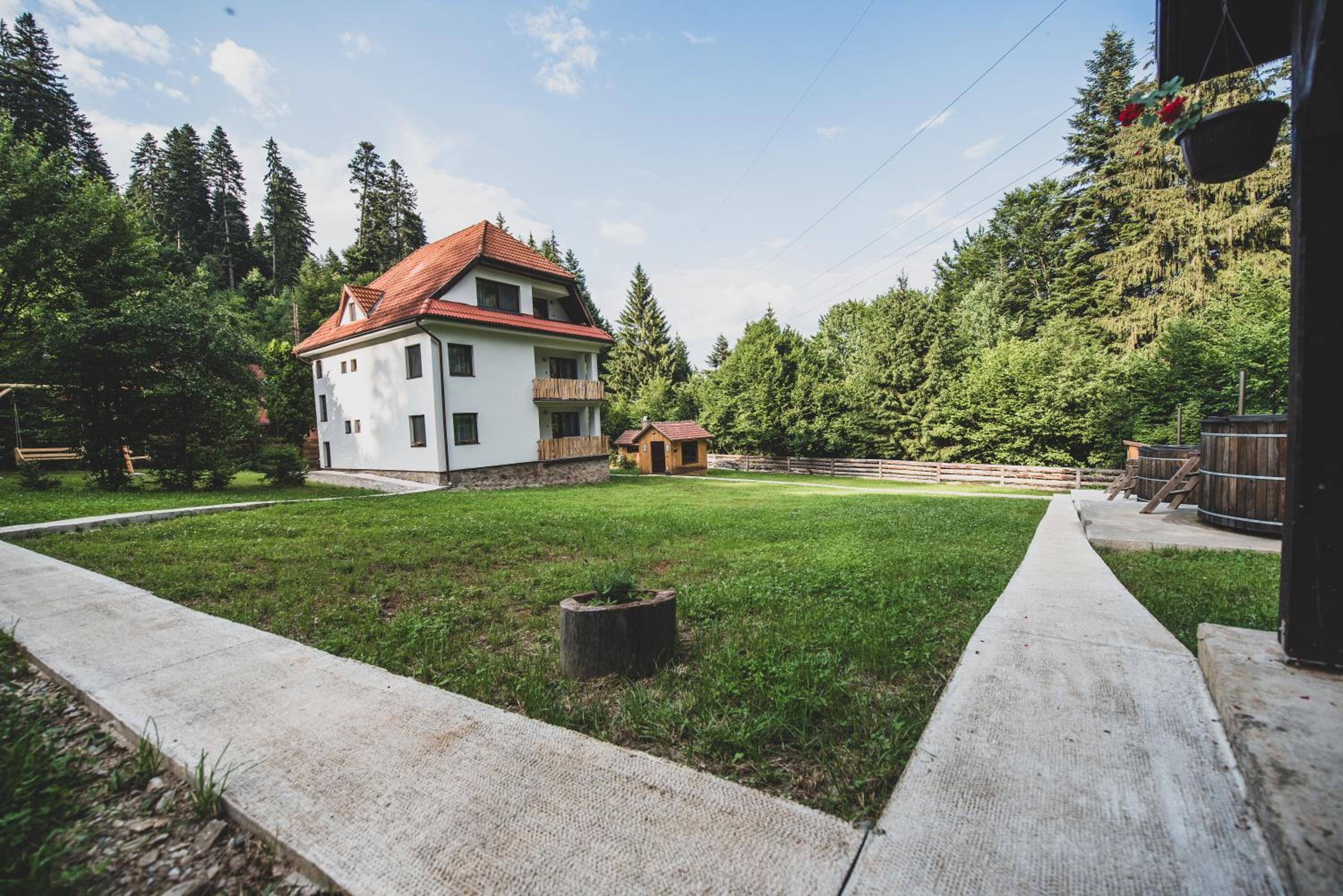 Forest Resort view 3