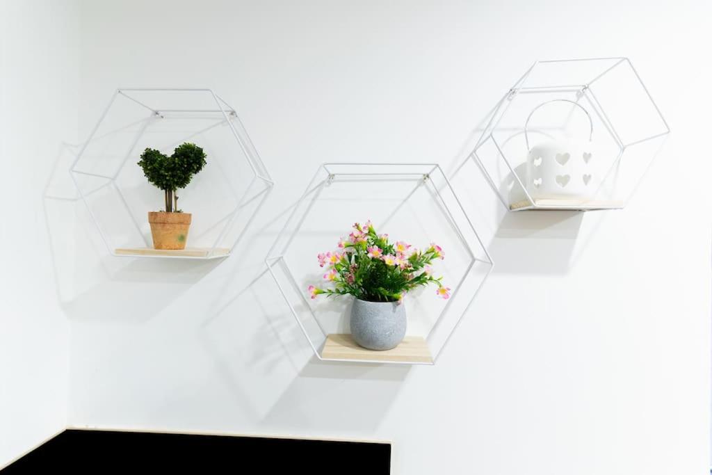 Urban Oasis Hideaway