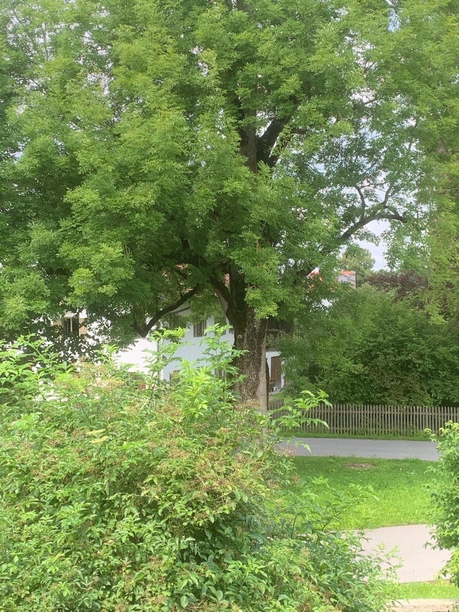 Der Gschwendtnerhof