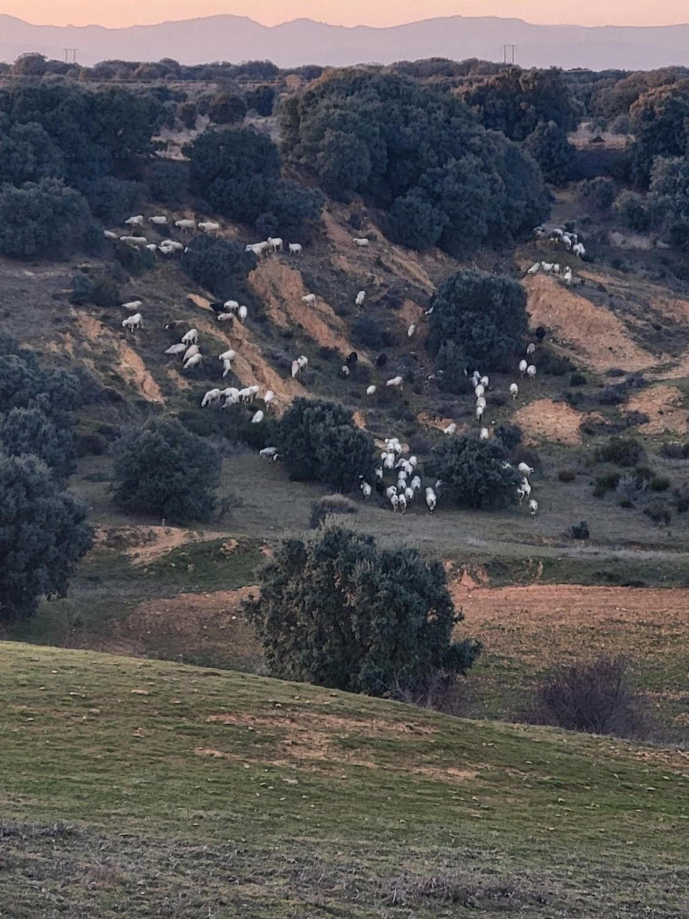 La Pedrosa Casa Rural