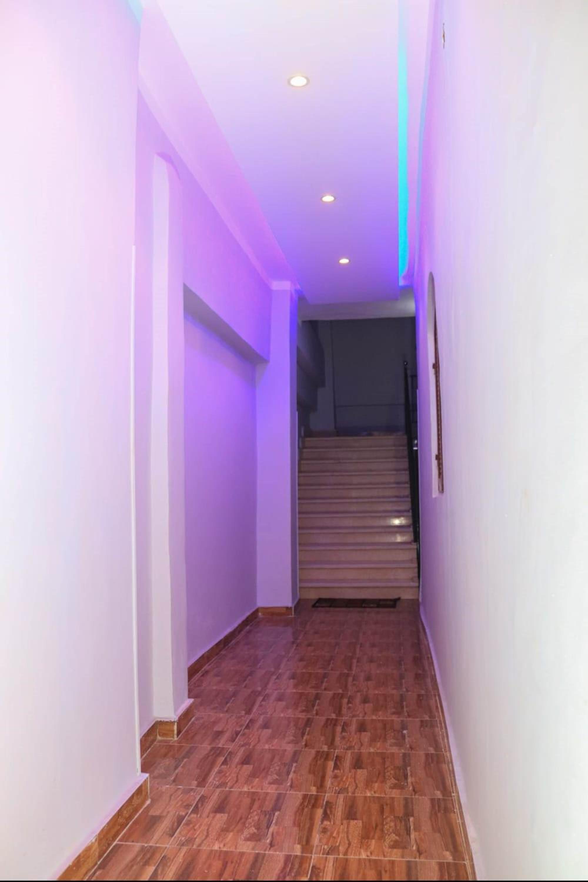 Shahd House