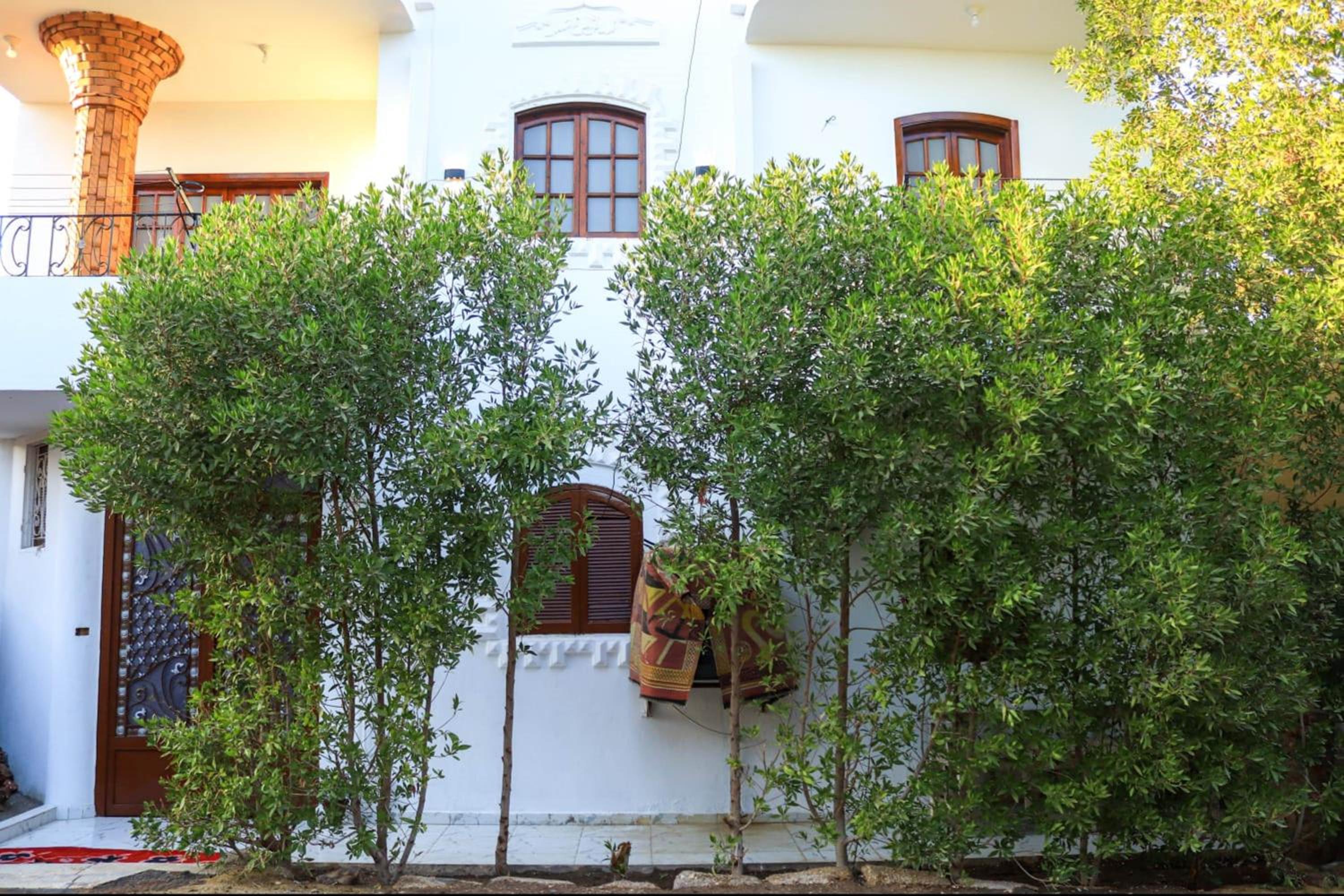 Shahd House