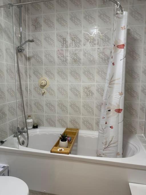 2 bed chic vintage flat at Bayswater