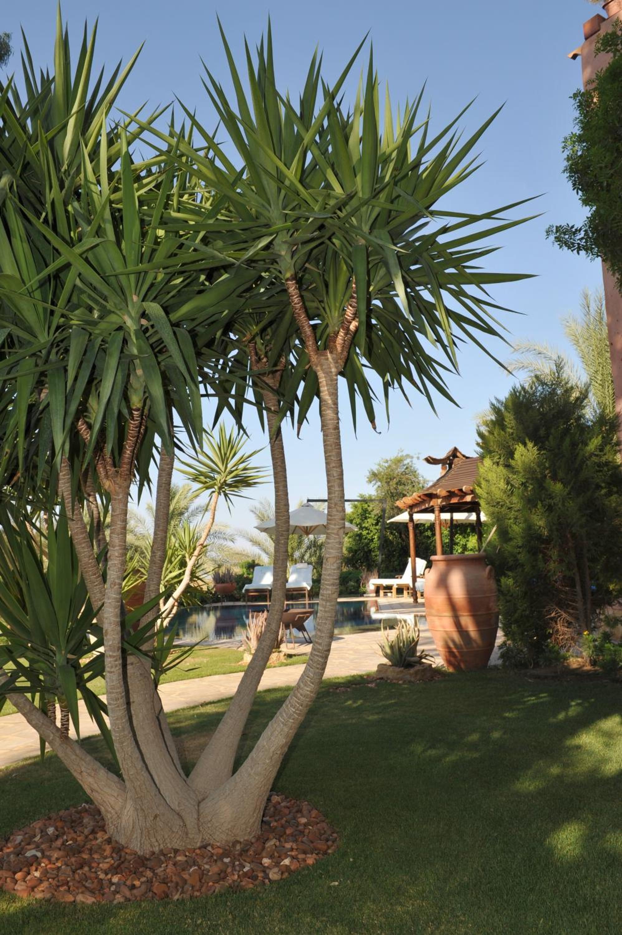 Lazib Inn Resort & Spa