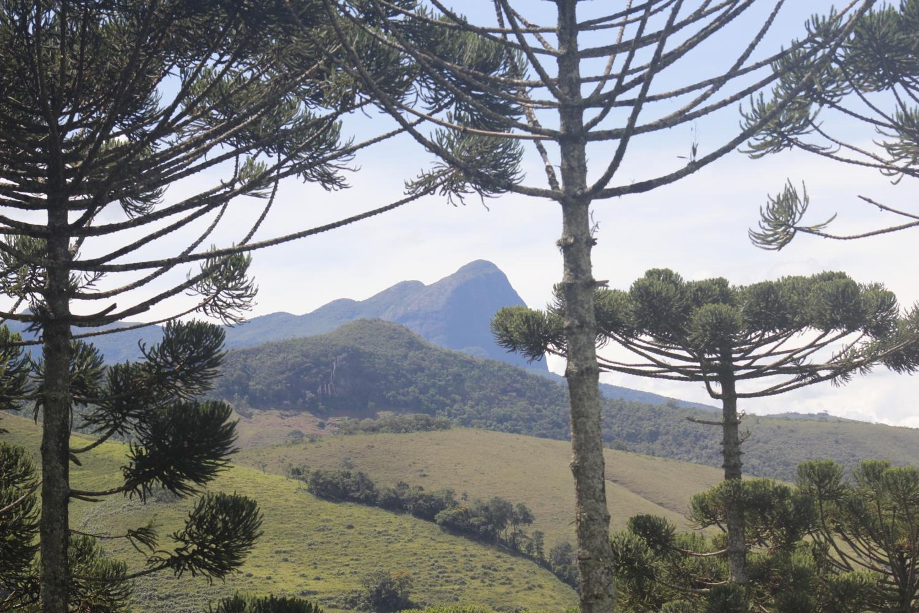 Chalé Sementes de Fé terras altas Nogueira
