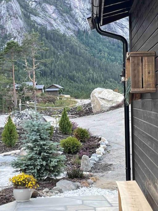Cosy cabin between lake and mountain view 2