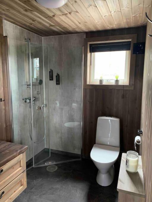Cosy cabin between lake and mountain view 4