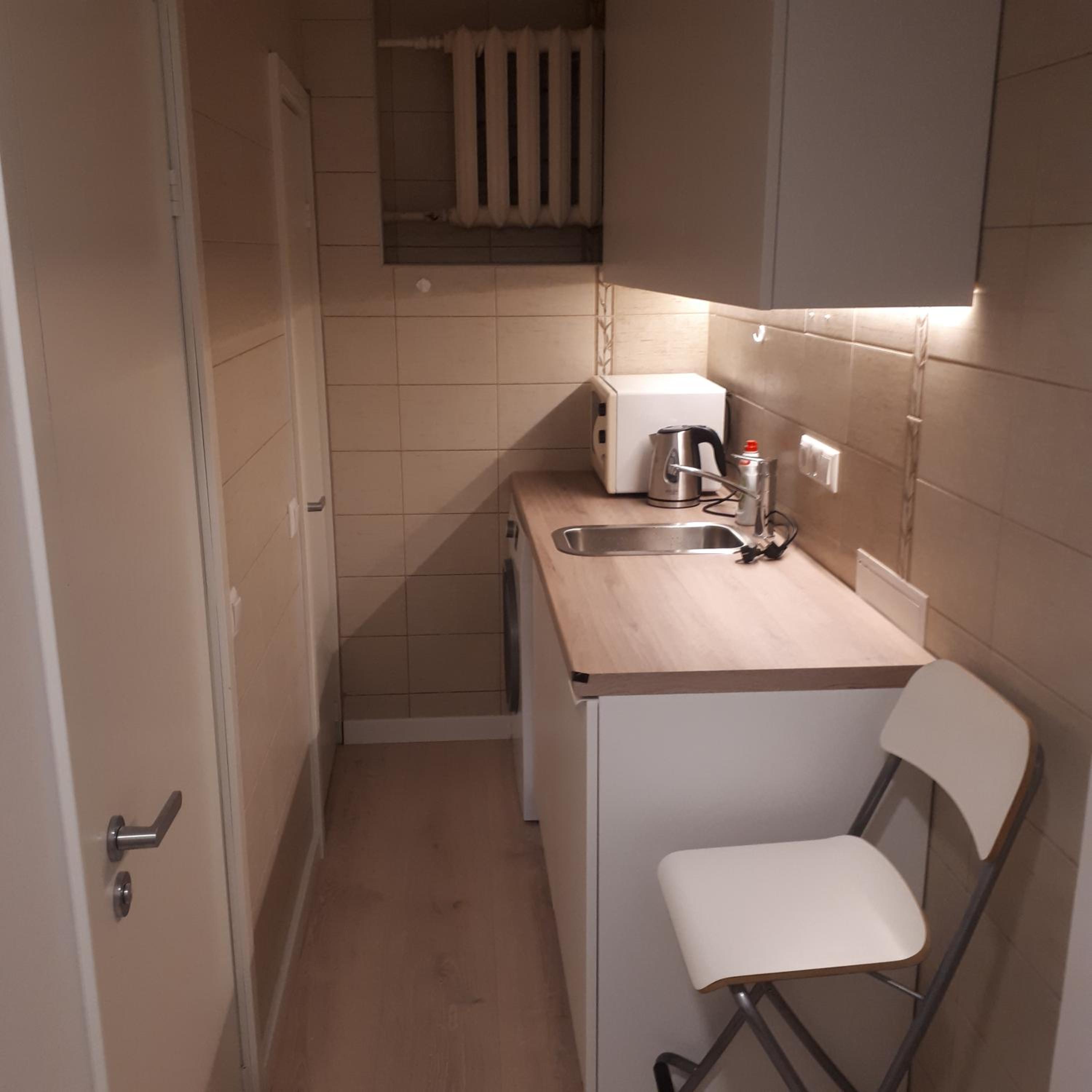 Mini apart Žvėrynas view 4