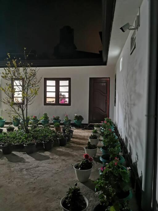 Photo 32