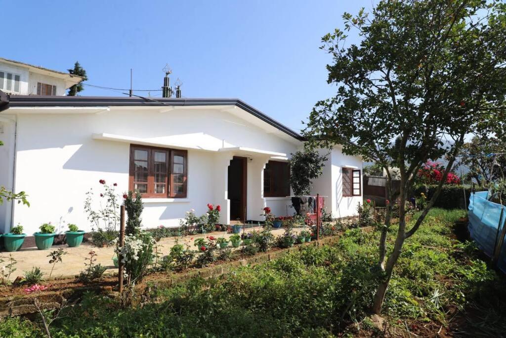Dawn's Bungalow view 5
