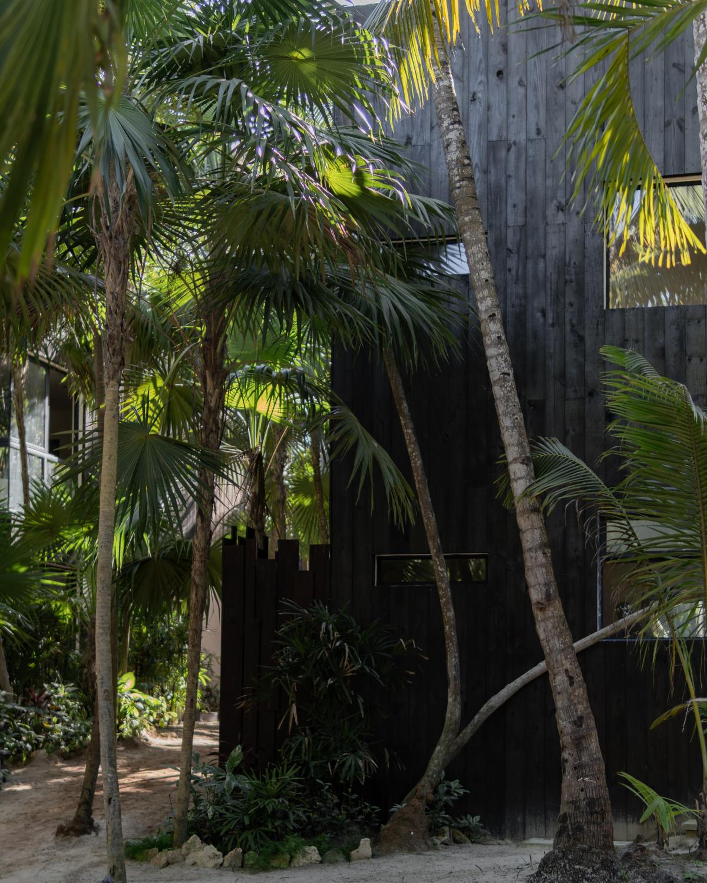 UMi Tulum