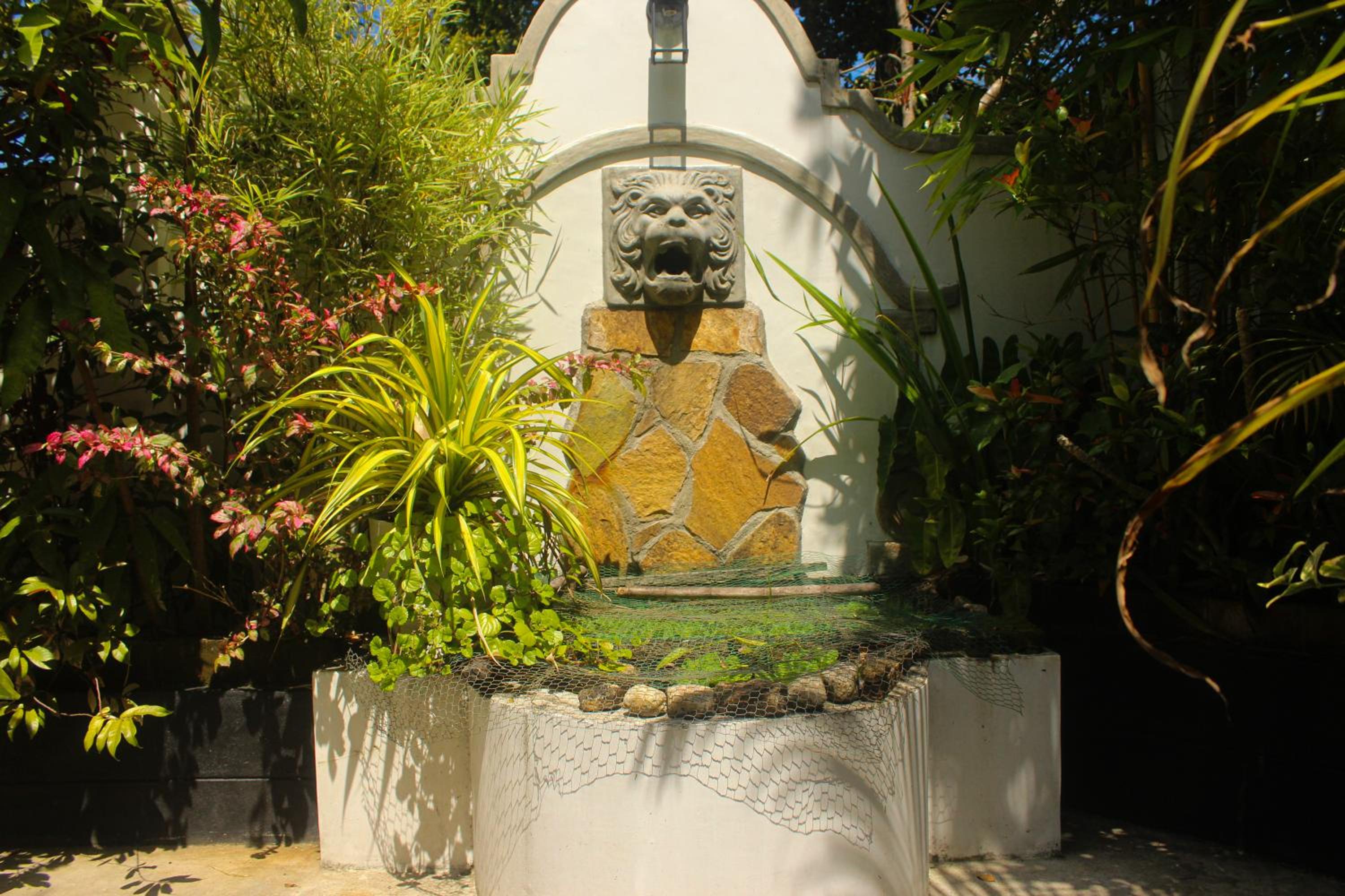 Photo 16