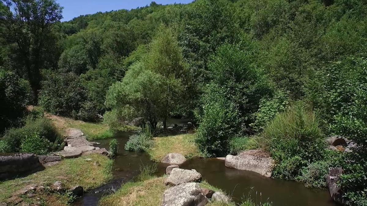 Moulin de Record - Property Image 18