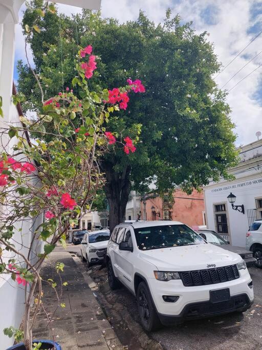 Acogedor Apartamento en la Zona Colonial @drvacationsrental