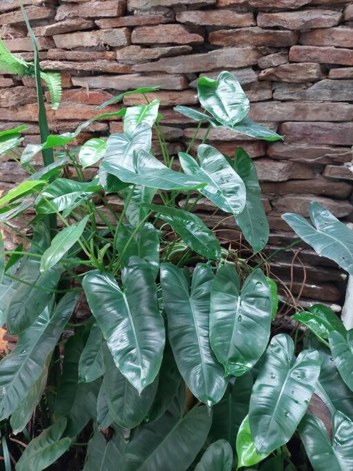 Acogedor Apartamento en la Zona Colonial @drvacationsrental