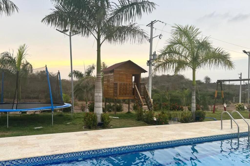 Brisas de barú