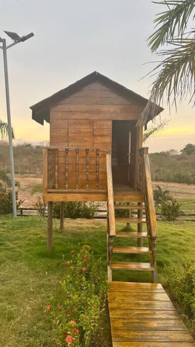 Brisas de barú