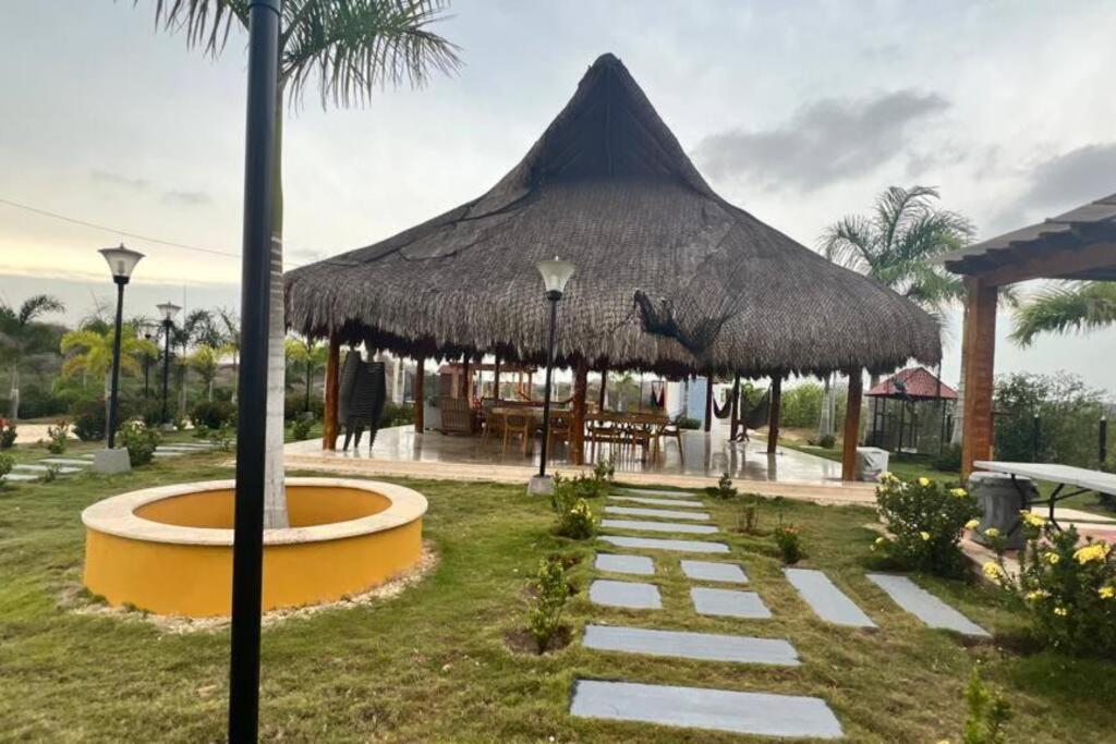 Brisas de barú