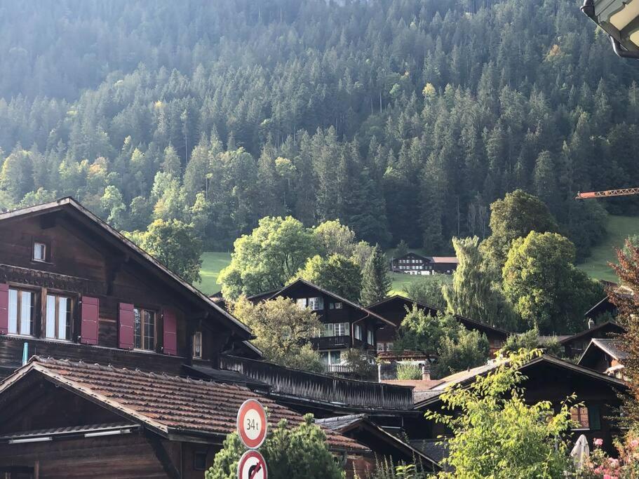 Region de Gstaad - Ultra Modern Apartment- Huge Roof Terrace - Great Views