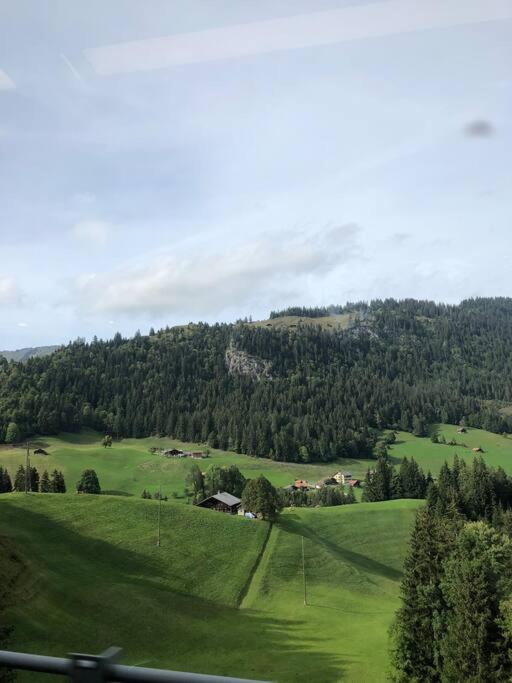 Region de Gstaad - Ultra Modern Apartment- Huge Roof Terrace - Great Views