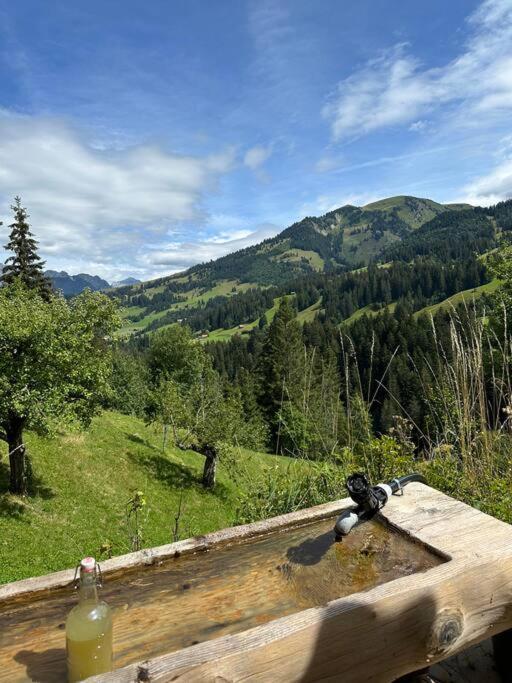 Region de Gstaad - Ultra Modern Apartment- Huge Roof Terrace - Great Views